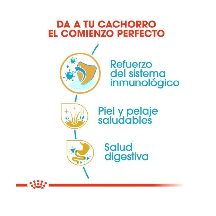 Royal Canin Puppy Golden Retriever ração para cães