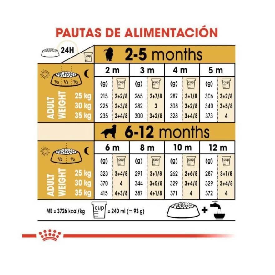 Royal Canin Puppy Golden Retriever ração para cães