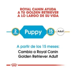 Royal Canin Puppy Golden Retriever ração para cães