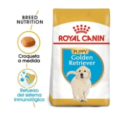 Royal Canin Puppy Golden Retriever ração para cães