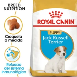 Royal Canin Puppy Jack Russell Terrier ração para cães