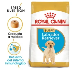 Royal Canin Puppy Labrador Retriever ração para cães