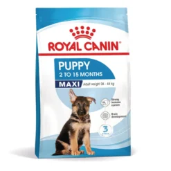 Royal Canin Puppy Maxi ração para cães