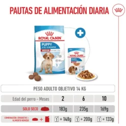 Royal Canin Puppy Medium ração para cães médios