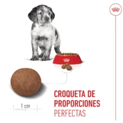 Royal Canin Puppy Medium ração para cães médios