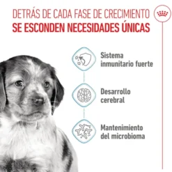 Royal Canin Puppy Medium ração para cães médios