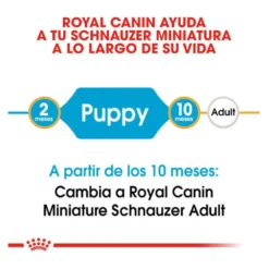 Royal Canin Puppy Miniature Schnauzer ração para cães