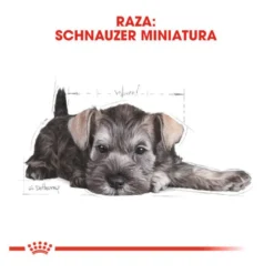 Royal Canin Puppy Miniature Schnauzer ração para cães