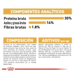 Royal Canin Puppy Miniature Schnauzer ração para cães