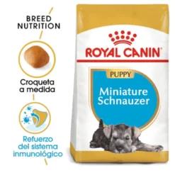 Royal Canin Puppy Miniature Schnauzer ração para cães
