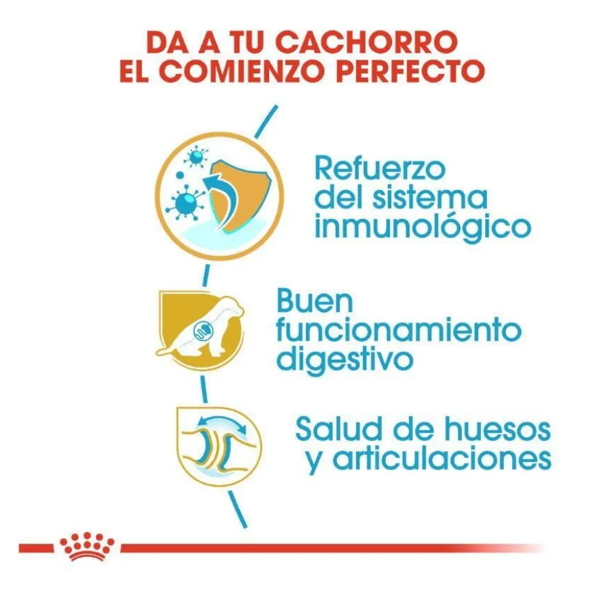 Royal Canin Puppy Pastor Alemão ração para cães