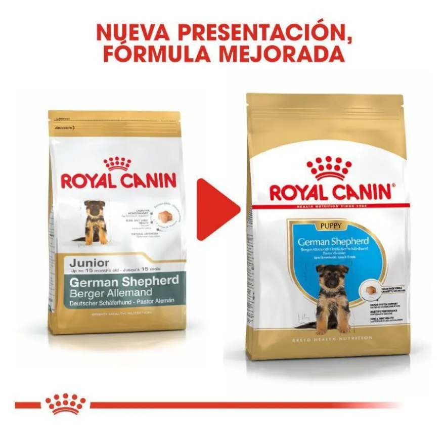 Royal Canin Puppy Pastor Alemão ração para cães