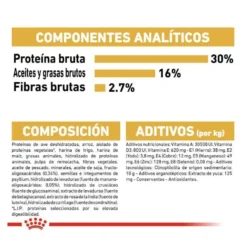 Royal Canin Puppy Pastor Alemão ração para cães