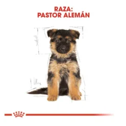 Royal Canin Puppy Pastor Alemão ração para cães