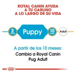 Royal Canin Puppy Pug ração para cães