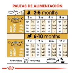 Royal Canin Puppy Pug ração para cães