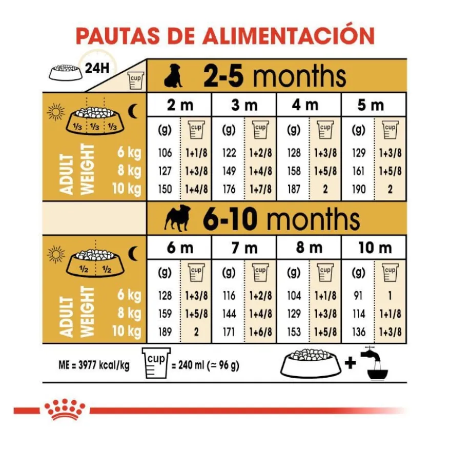 Royal Canin Puppy Pug ração para cães