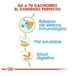 Royal Canin Puppy Pug ração para cães