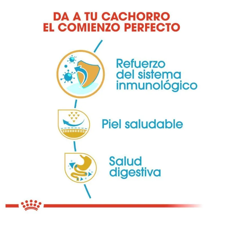 Royal Canin Puppy Pug ração para cães
