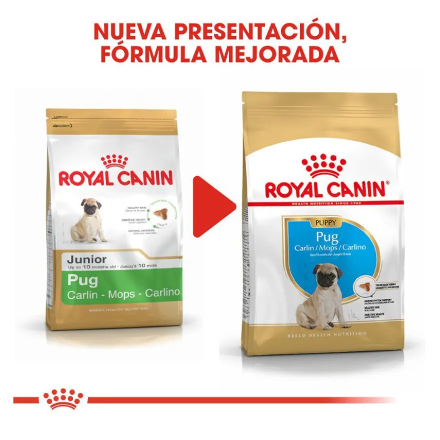 Royal Canin Puppy Pug ração para cães