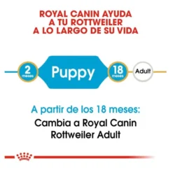 Royal Canin Puppy Rottweiler ração para cães