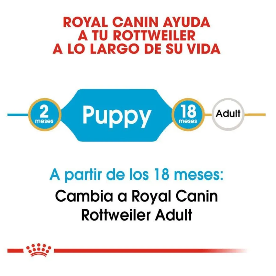 Royal Canin Puppy Rottweiler ração para cães
