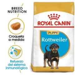 Royal Canin Puppy Rottweiler ração para cães