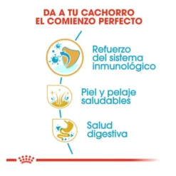 Royal Canin Puppy Shih Tzu ração para cães