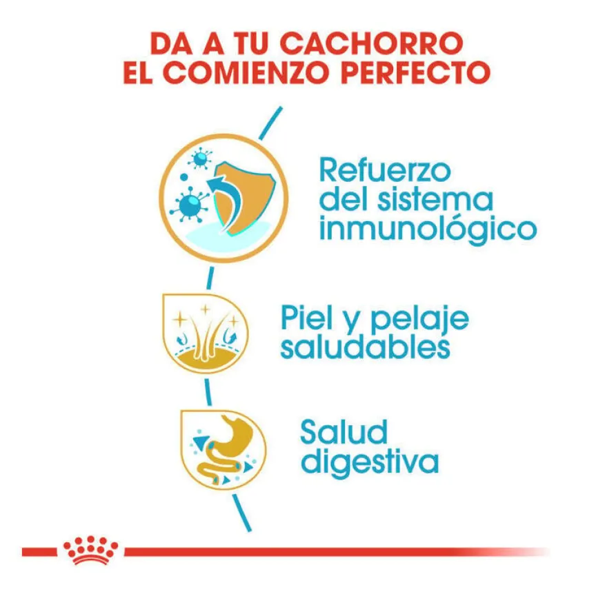 Royal Canin Puppy Shih Tzu ração para cães