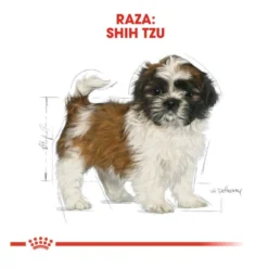 Royal Canin Puppy Shih Tzu ração para cães
