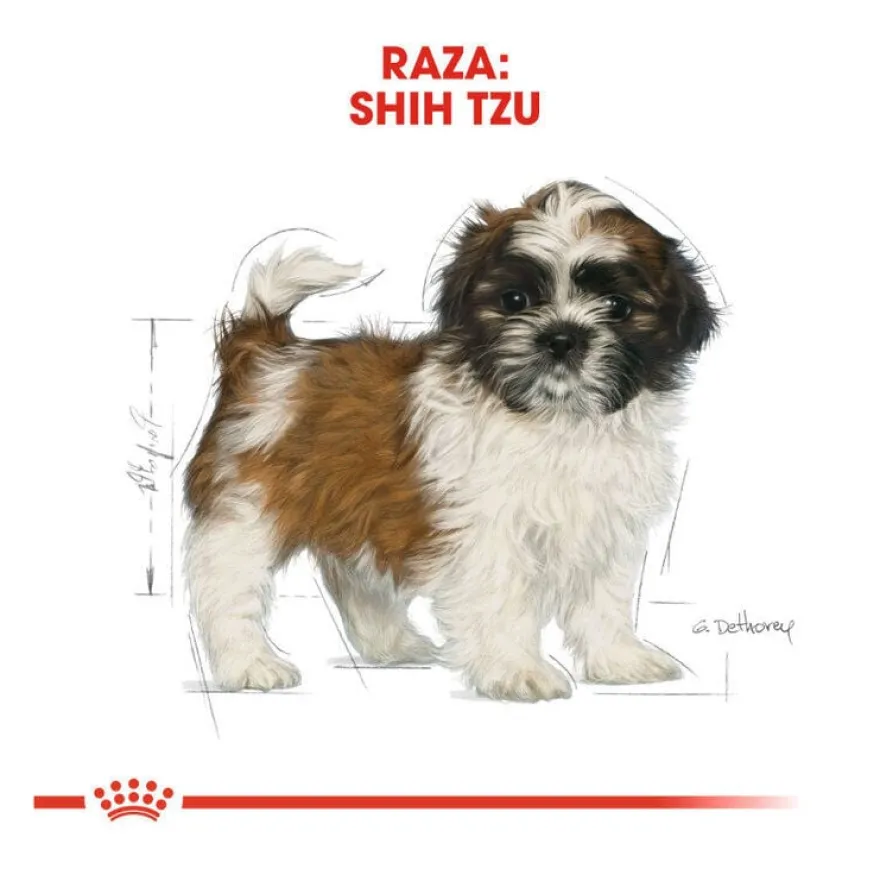 Royal Canin Puppy Shih Tzu ração para cães