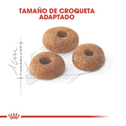 Royal Canin Regular Fit 32 ração para gatos