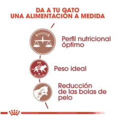 Royal Canin Regular Fit 32 ração para gatos
