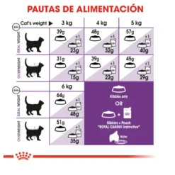 Royal Canin Regular Sensible 33 ração para gatos