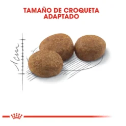 Royal Canin Regular Sterilised 37 ração para gatos