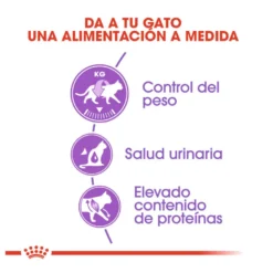 Royal Canin Regular Sterilised 37 ração para gatos
