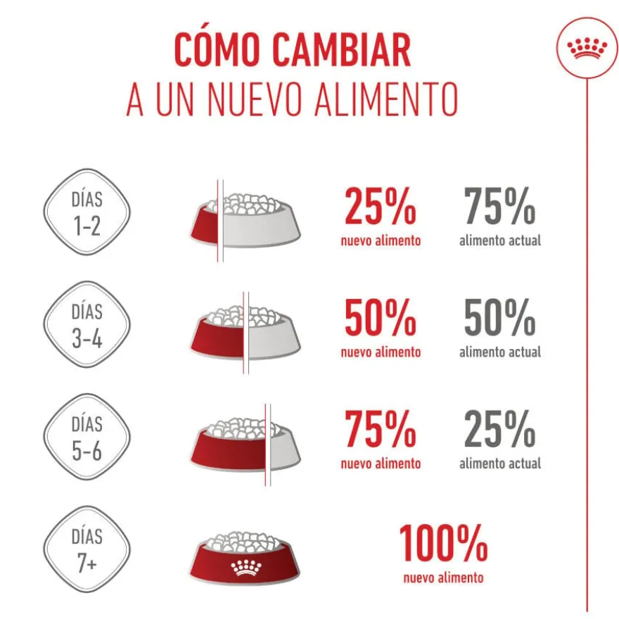 Royal Canin Starter Maxi Mother&Baby ração para cães