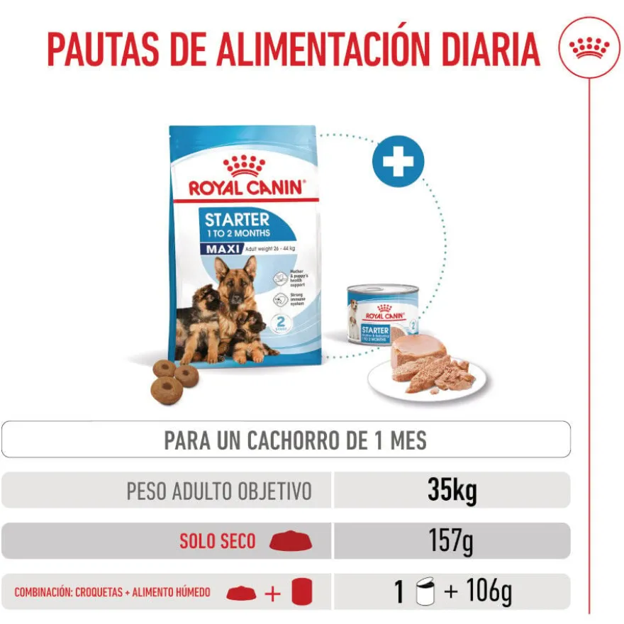Royal Canin Starter Maxi Mother&Baby ração para cães
