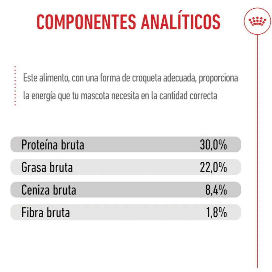 Royal Canin Starter Maxi Mother&Baby ração para cães