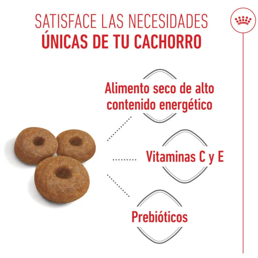 Royal Canin Starter Maxi Mother&Baby ração para cães