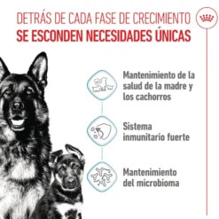 Royal Canin Starter Maxi Mother&Baby ração para cães