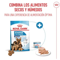 Royal Canin Starter Maxi Mother&Baby ração para cães
