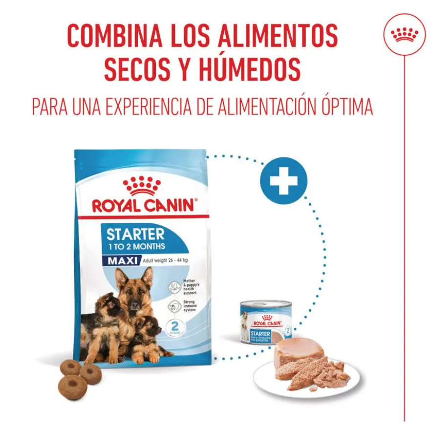 Royal Canin Starter Maxi Mother&Baby ração para cães