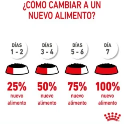 Royal Canin Starter Mommy & Baby mousse latas para cães