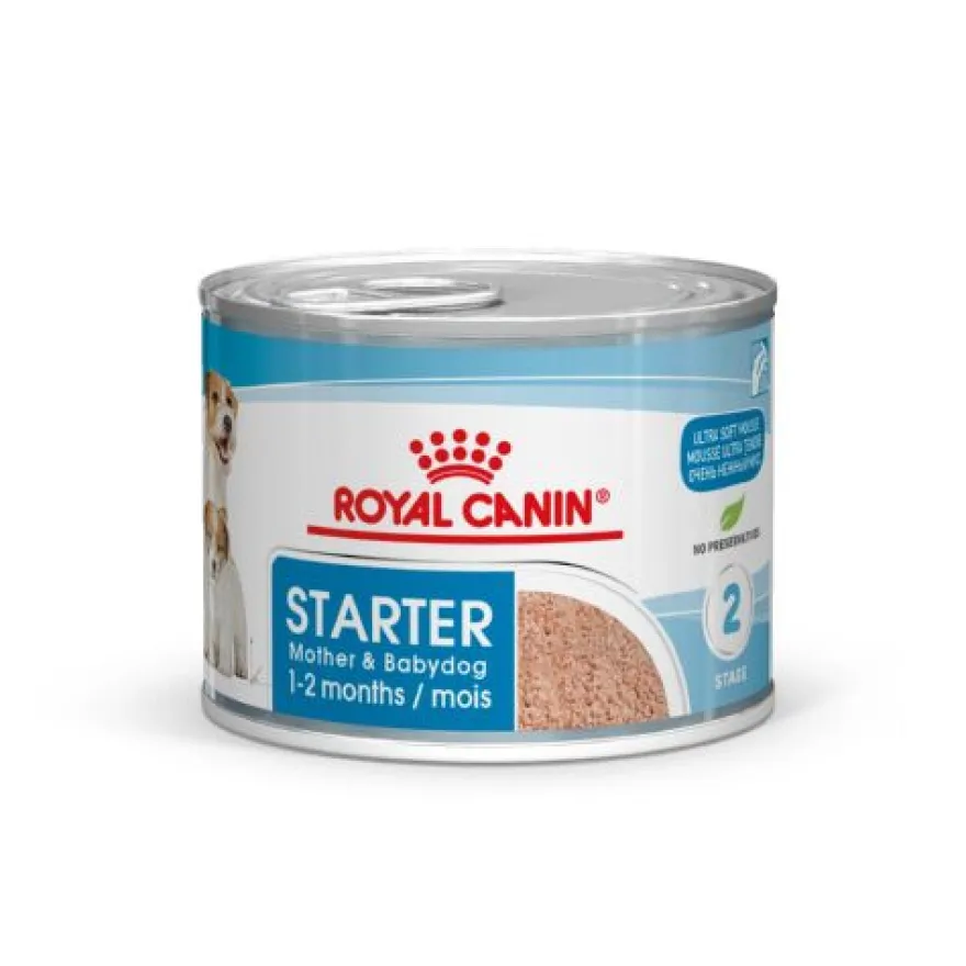 Royal Canin Starter Mommy & Baby mousse latas para cães