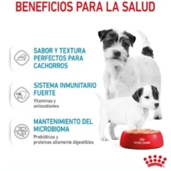 Royal Canin Starter Mommy & Baby mousse latas para cães