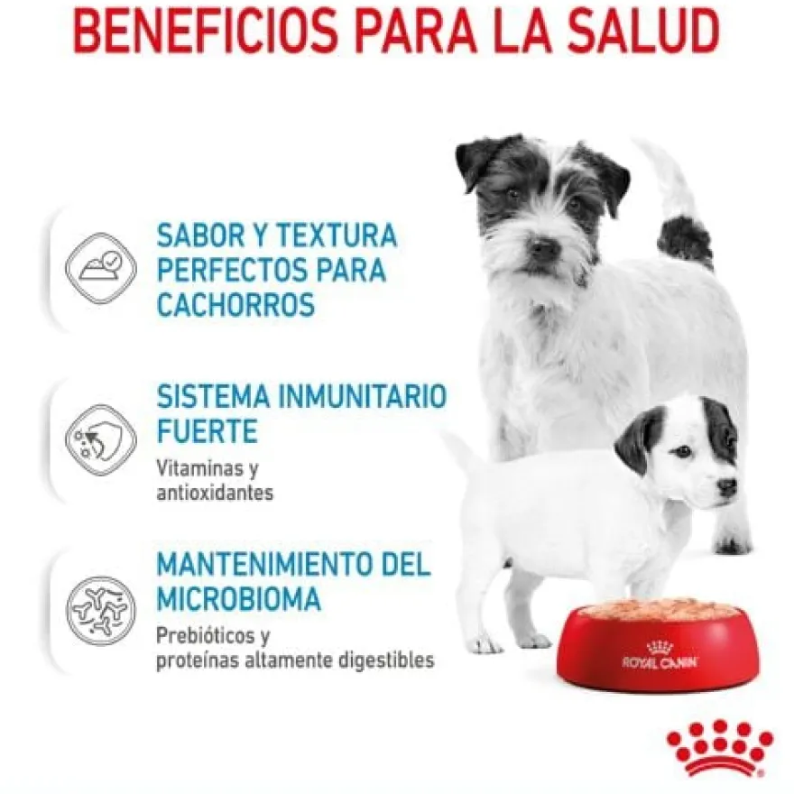 Royal Canin Starter Mommy & Baby mousse latas para cães