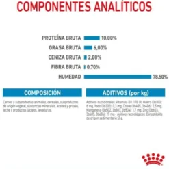 Royal Canin Starter Mommy & Baby mousse latas para cães