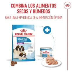 Royal Canin Starter Puppy Giant Ração