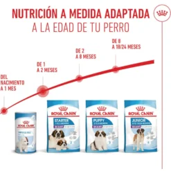 Royal Canin Starter Puppy Giant Ração